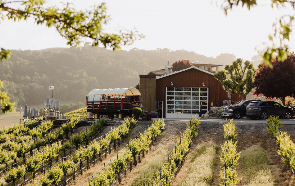 Paso Robles Outdoor Wine Tasting