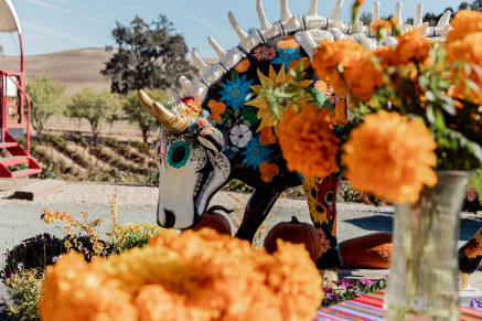 Oso Libre Day of the Dead Fiesta